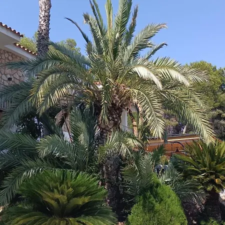 Mansion Els Amics Bed & Breakfast *
